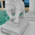 威海 白麻花岗岩动物异形石雕-大象